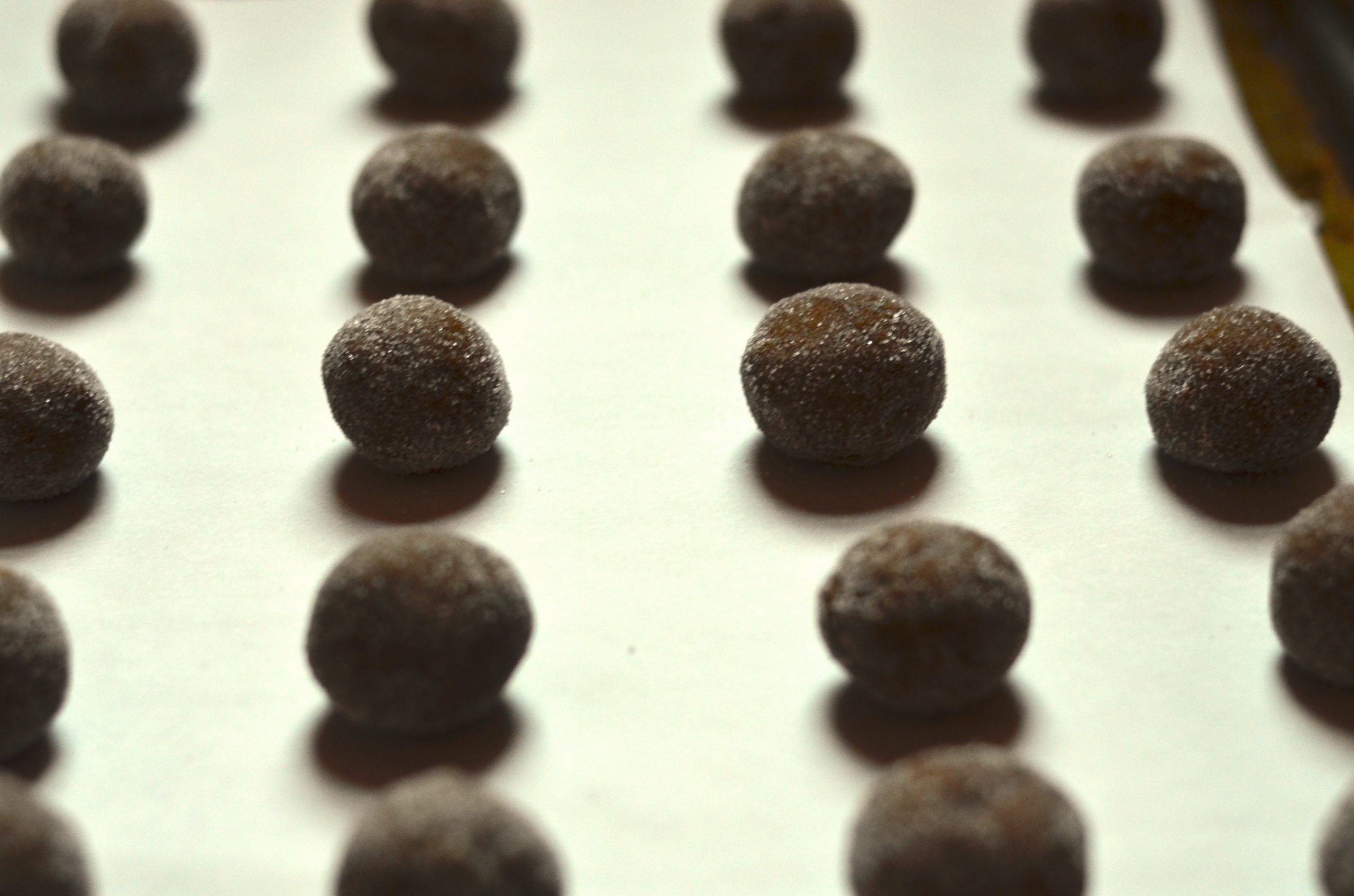 gingersnaps rolled out and arranged on a baking sheet