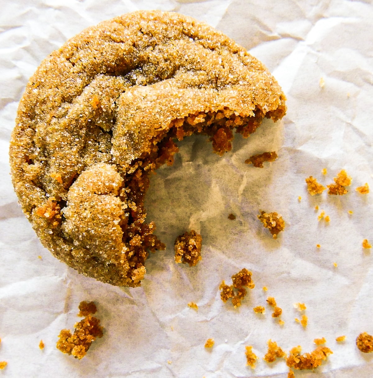 one crisp and tender ginger snap on parchment paper.