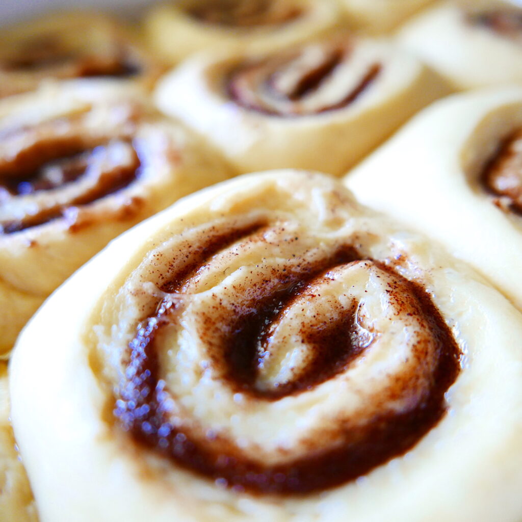 gooey cinnamon buns proofing in a baking dish