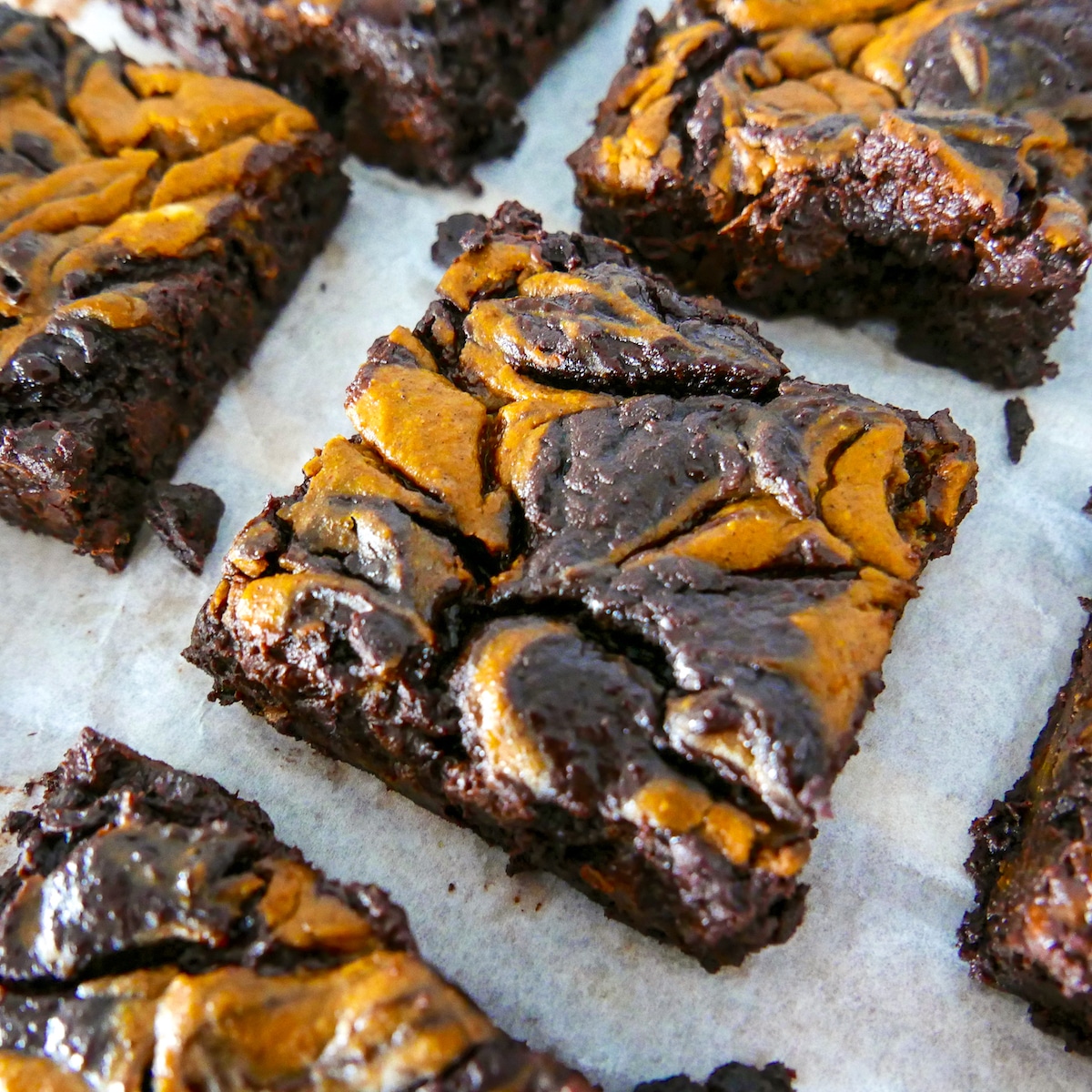 healthy pumpkin brownies cut into squares on parchment