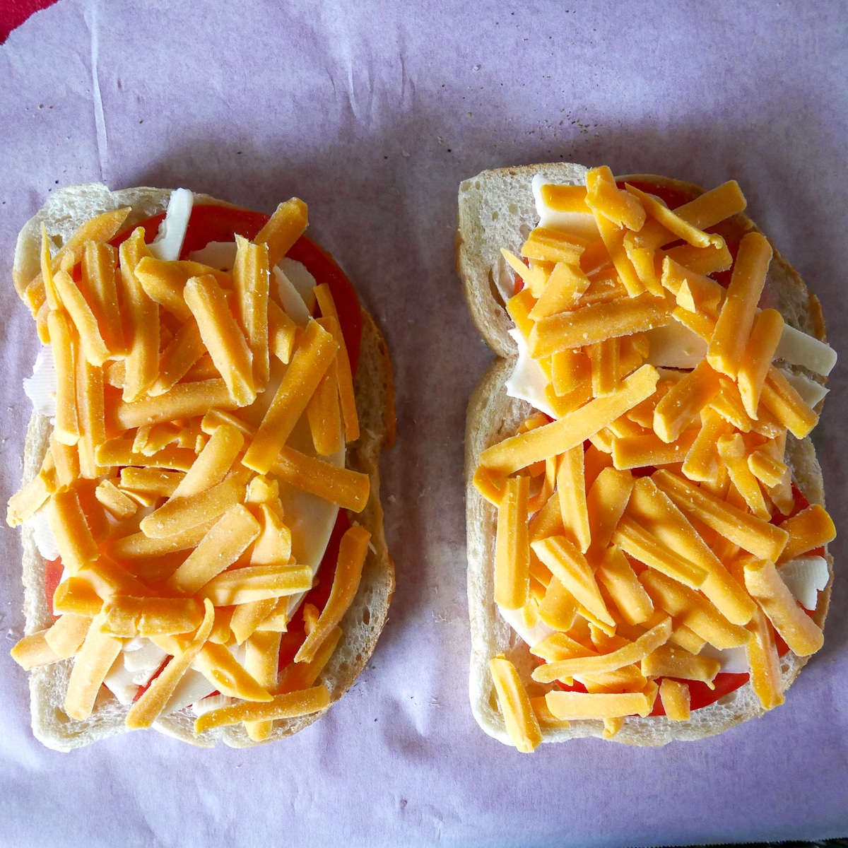 Cheddar and provolone cheese on two slices of sourdough.