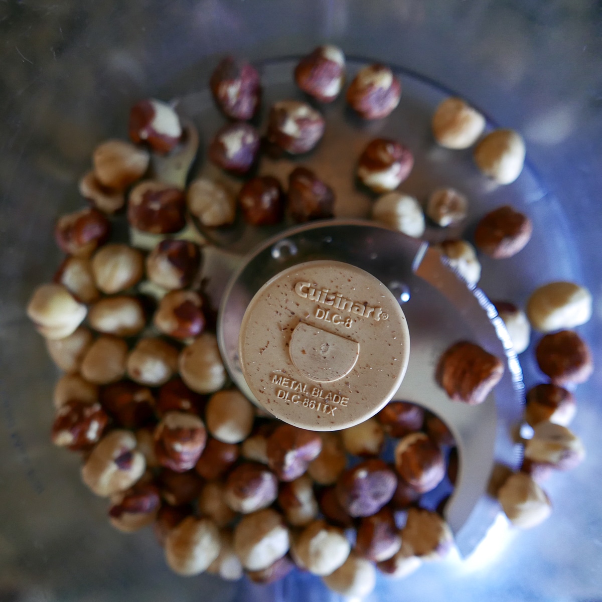 toasted hazelnuts in a food processor.