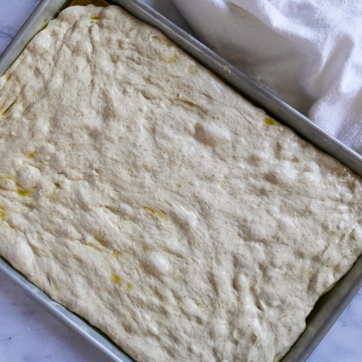 focaccia dough spread onto an oiled baking sheet.