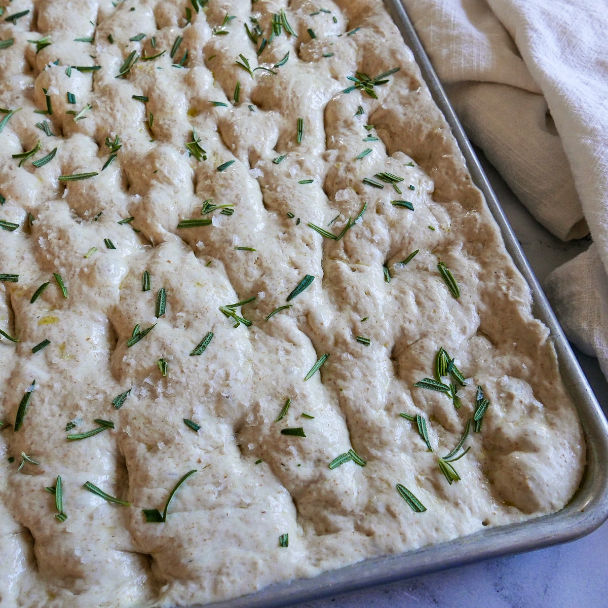 Dimpled focaccia dough sprinkled with rosemary and sea salt in a baking sheet.