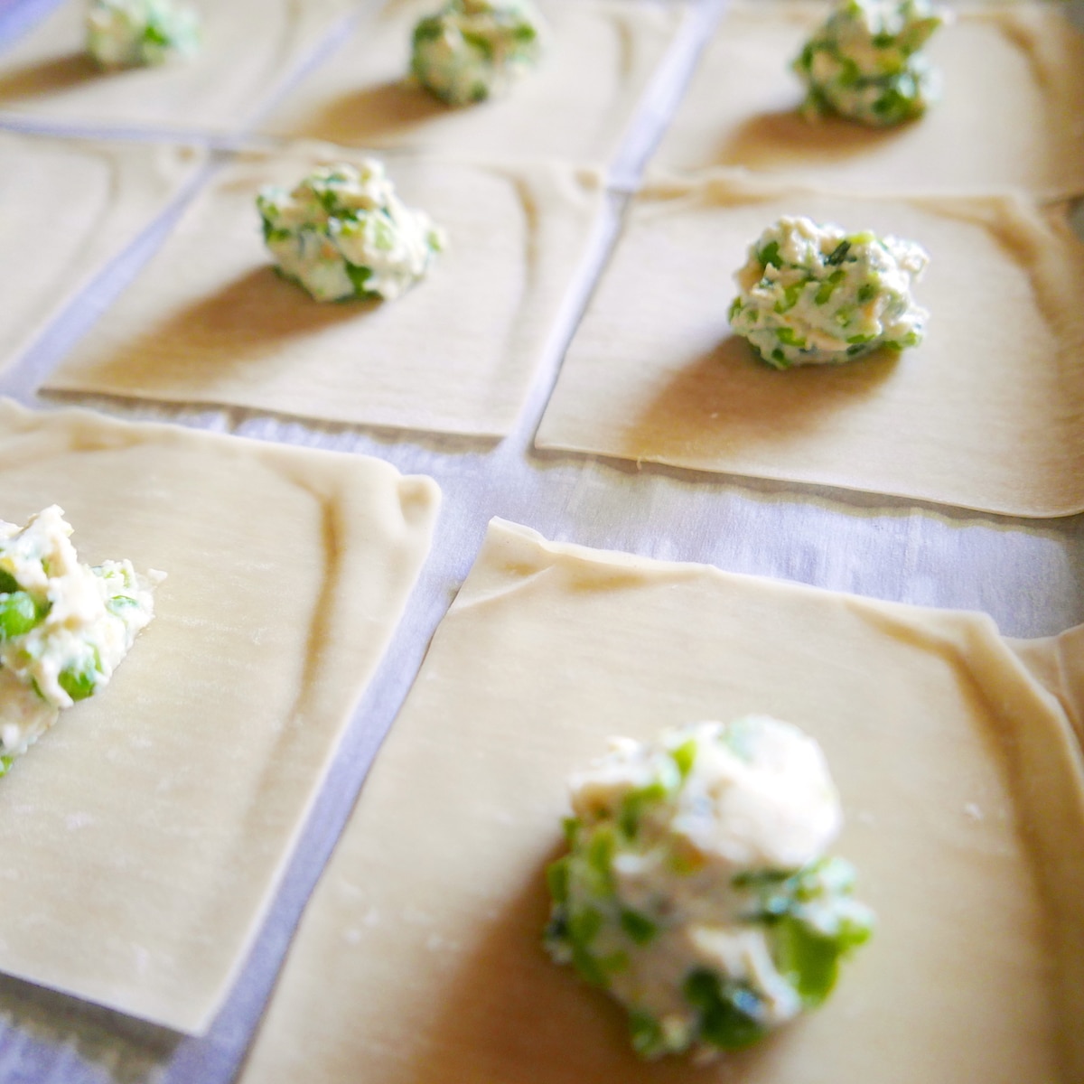wonton wrappers being prepped with spring pea ricotta filling on a baking sheet.