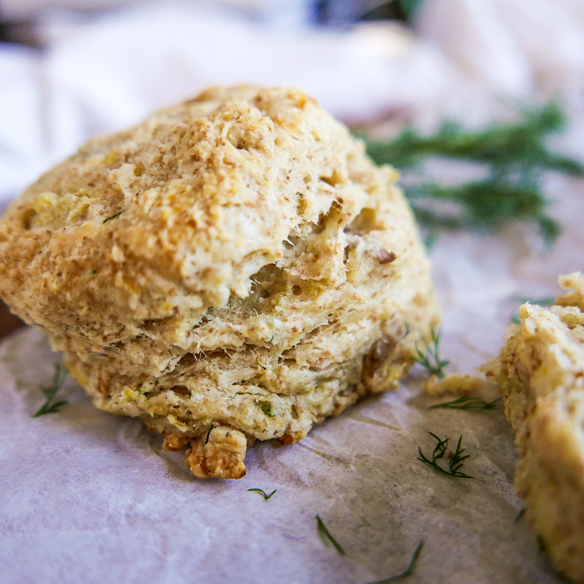 close up of dill biscuit with fresh dill in the background .