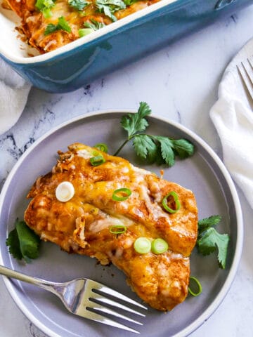 two chipotle enchiladas on a gray plate with fresh cilantro and scallions.