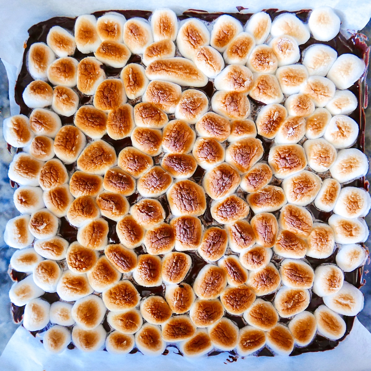 broiled mini-marshmallows on top of vegan smores bars. 