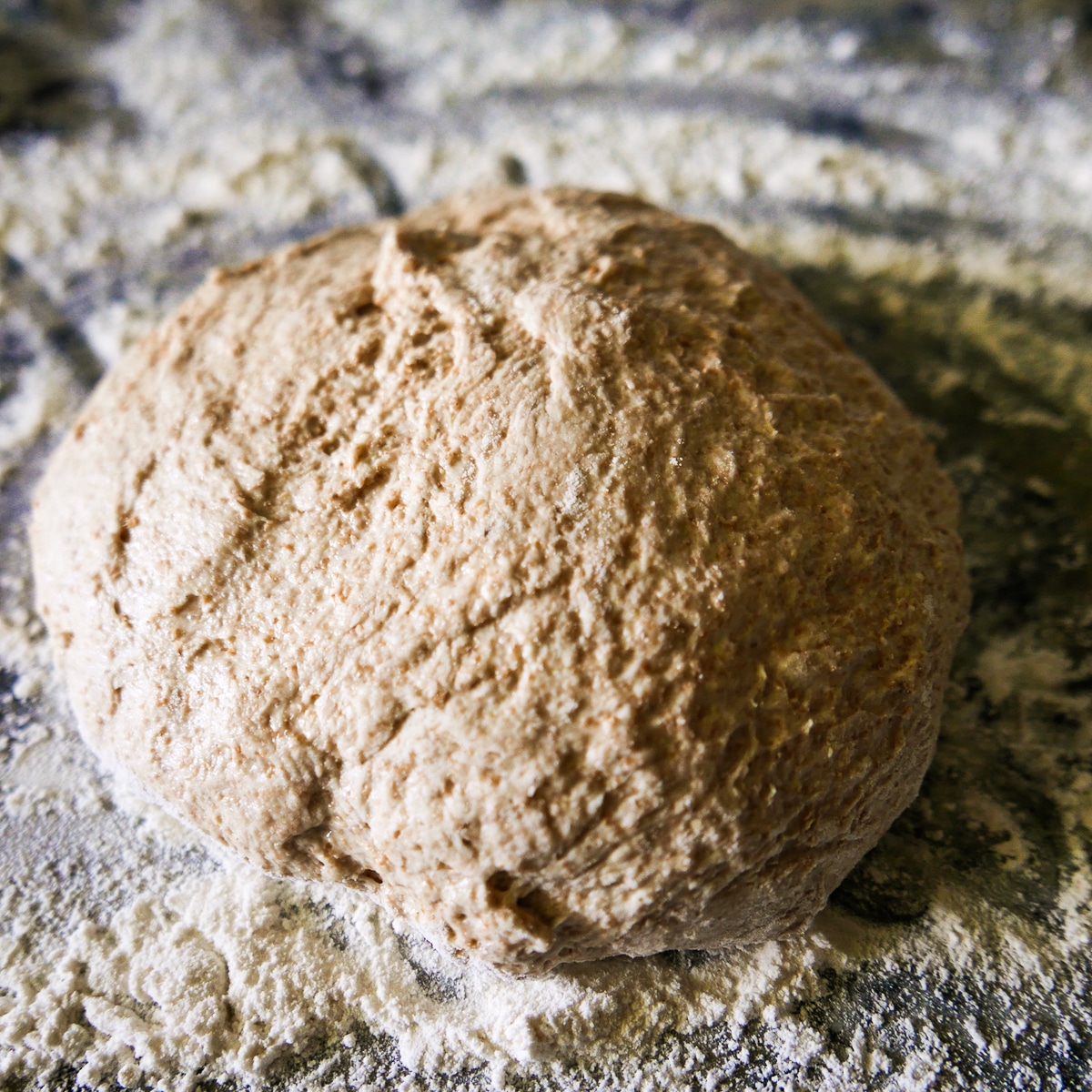 Kneaded dough on a floured surface.