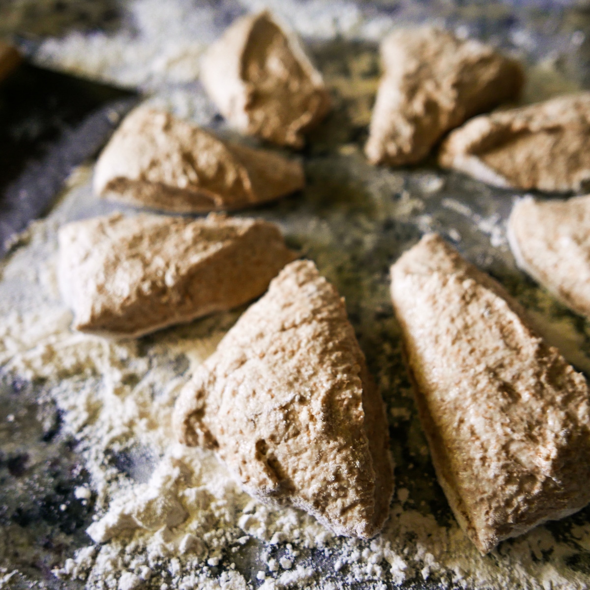 Naan dough cut into eight pieces on a floured surface.