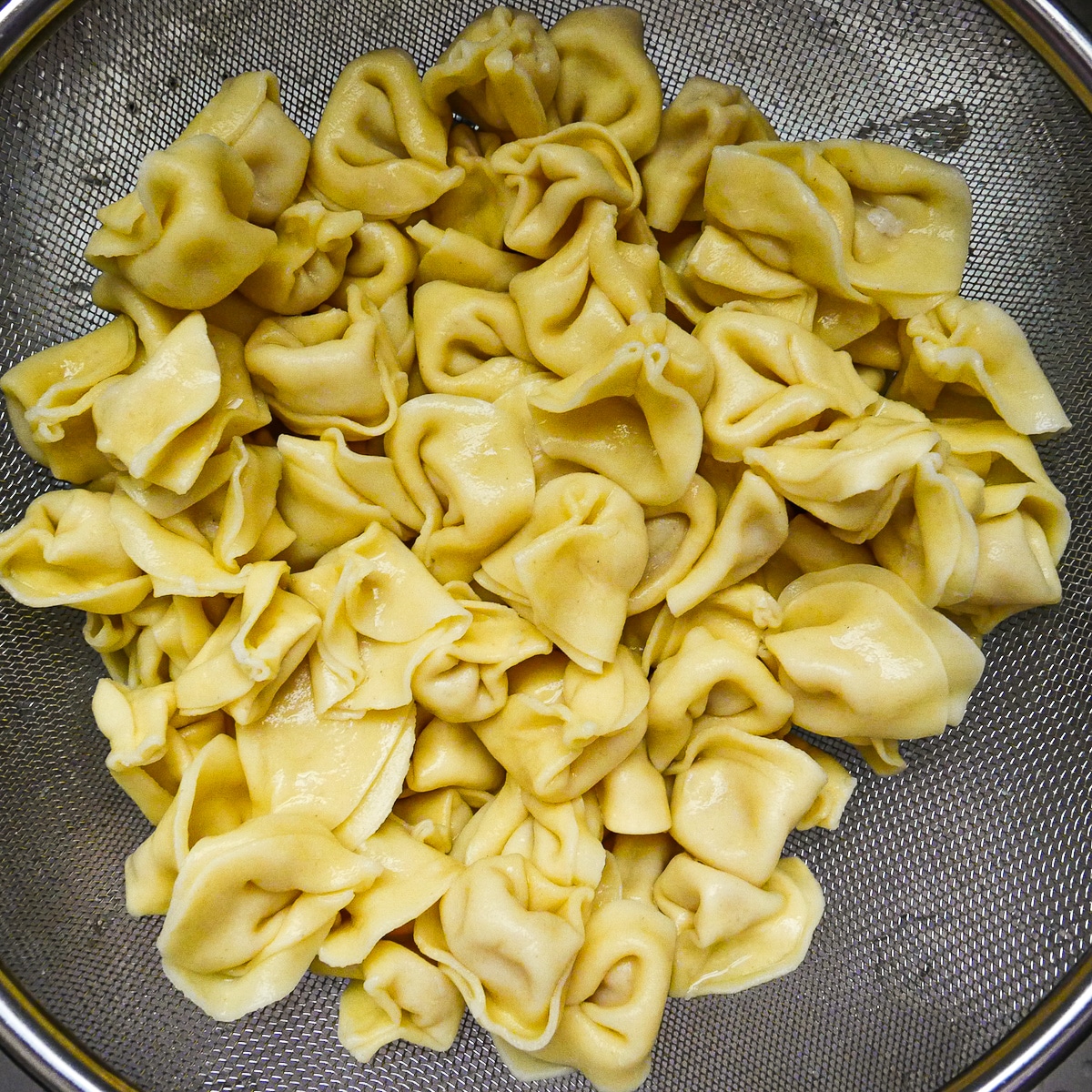 cooked tortellini in a collander after being drained and rinsed.