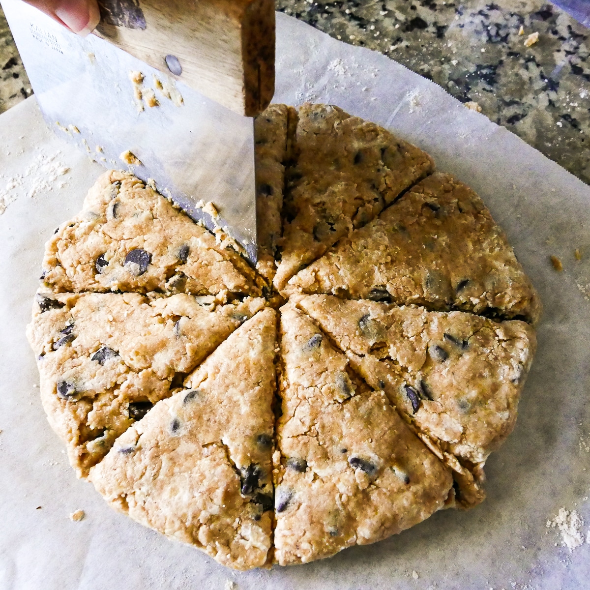 cutting-scone-dough.jpg bench scraper slicing scone disc into 8 wedges.