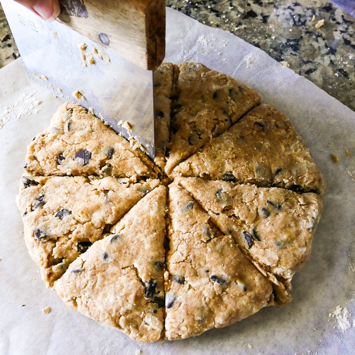 bench scraper slicing scone disc into 8 wedges.