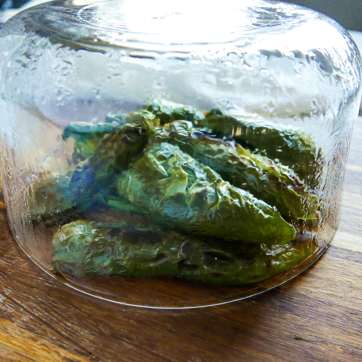 jalapenos under a glass bowl being steamed. 