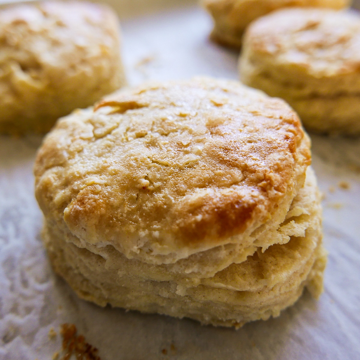 Freshly baked biscuits on a baking sheet.