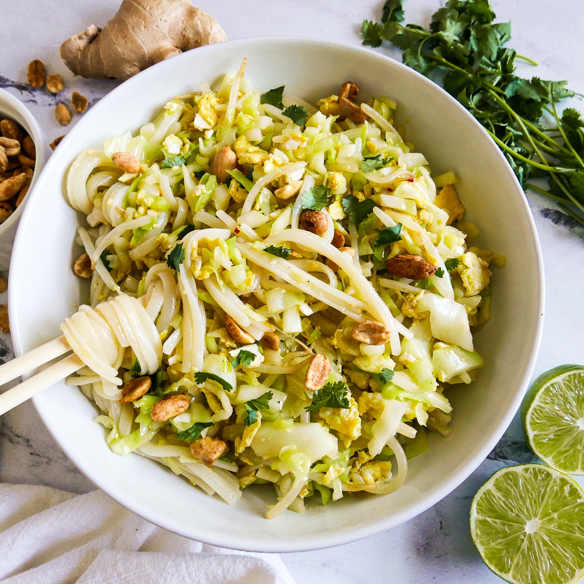 asian-noodles-with-chopsticks.jpg Pair of chopsticks resting in a bowl of asian noodles with cilantro on the side.