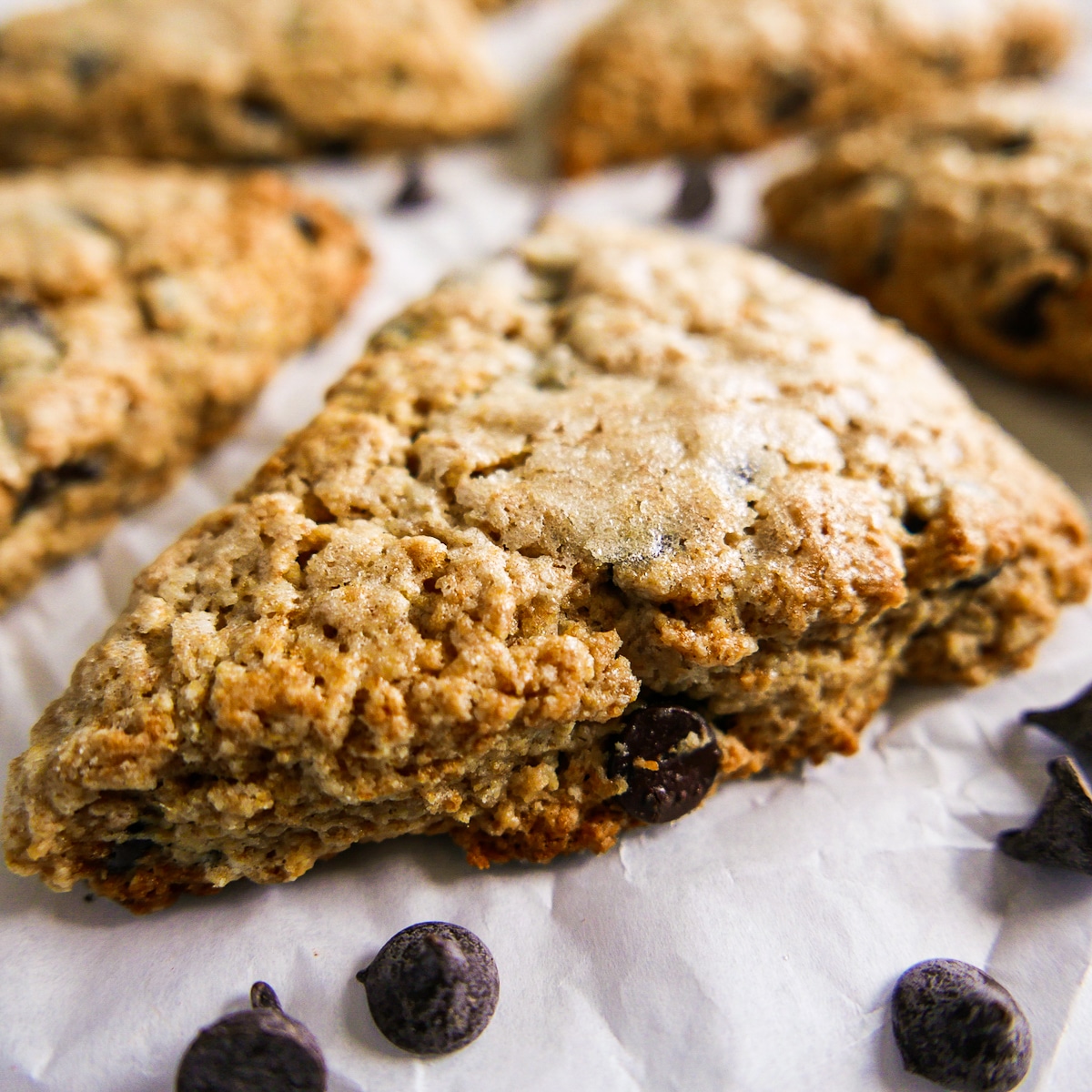 sourdough discard scones arranged on a parchment-lined baking sheet.