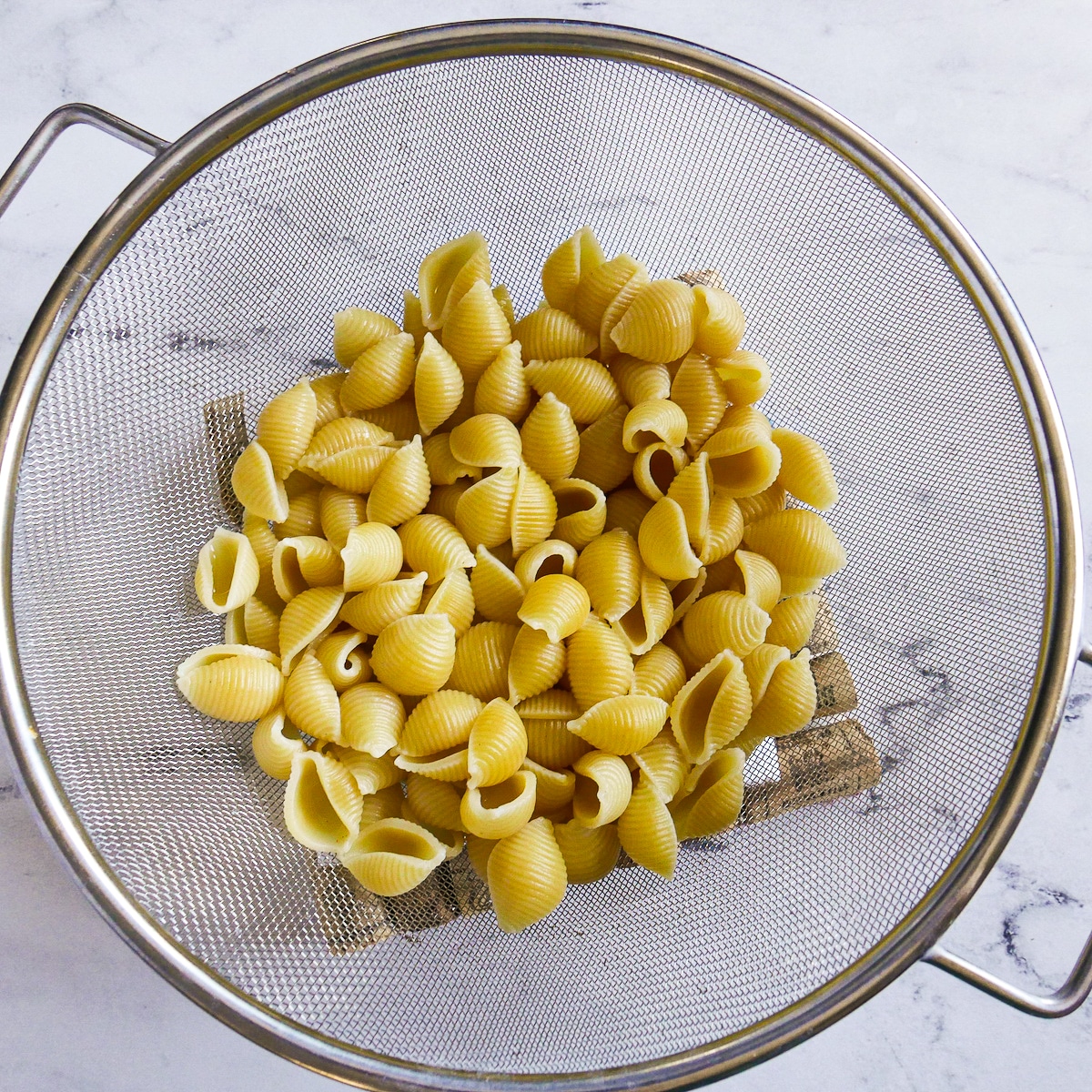 pasta-shells.jpg Pasta shells cooked and drained.