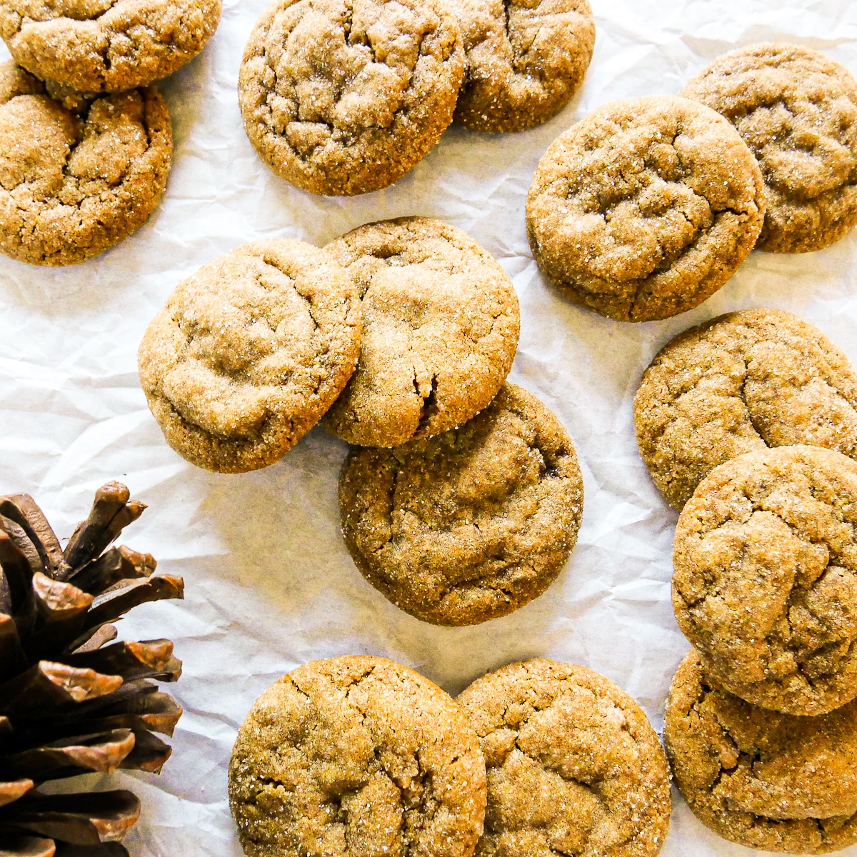 old fashioned ginger snaps arranged on parchment paper.