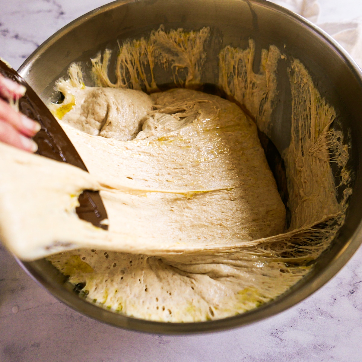 sourdough bread dough being folded a few times to deflate.