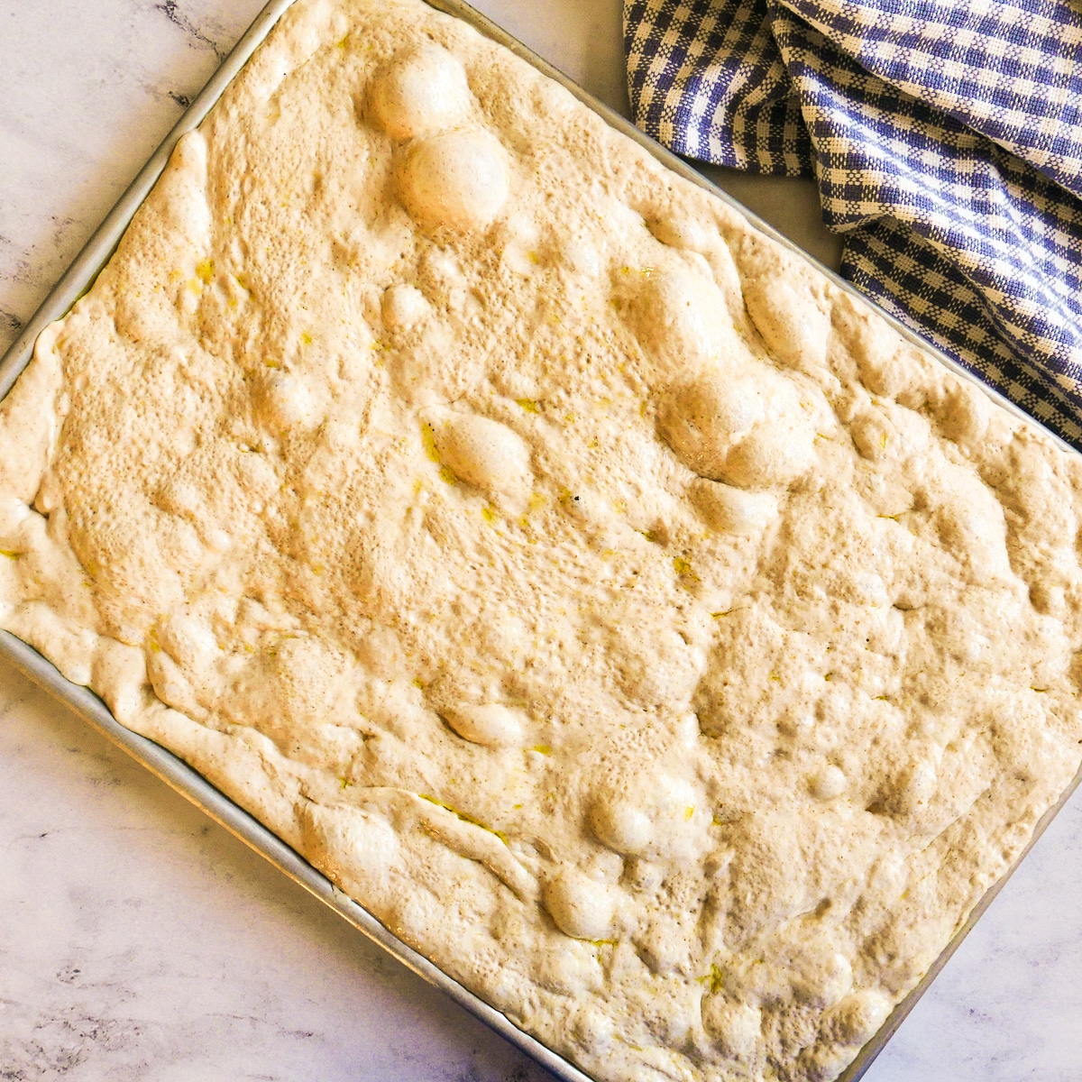 bubbly dough after proofing overnight.