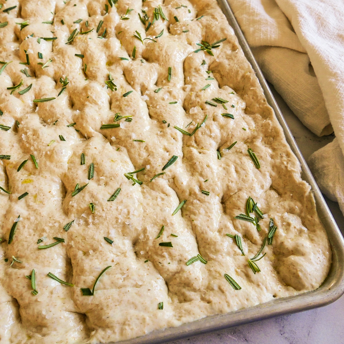 Dimpled sourdough focaccia dough sprinkled with rosemary and sea salt in a baking sheet.