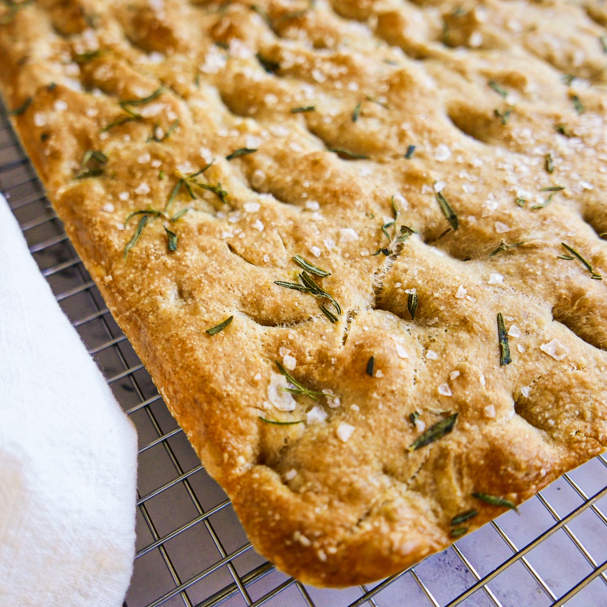 Crisp and chewy sourdough bread resting on a cooling rack.