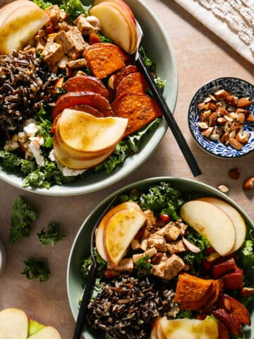 Two savory harvest bowls dressed with balsamic vinaigrette.