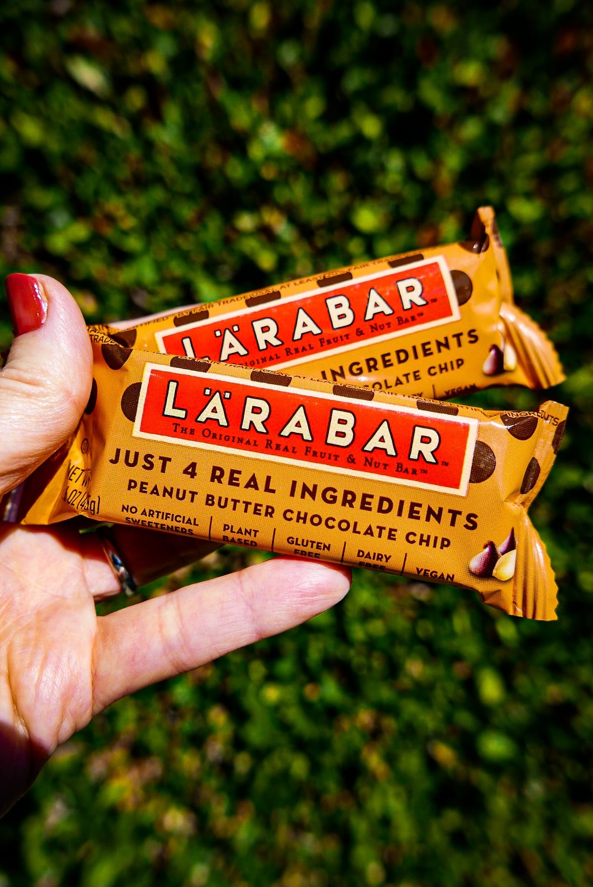 larabar.jpg Larabars held up in front of a bush.