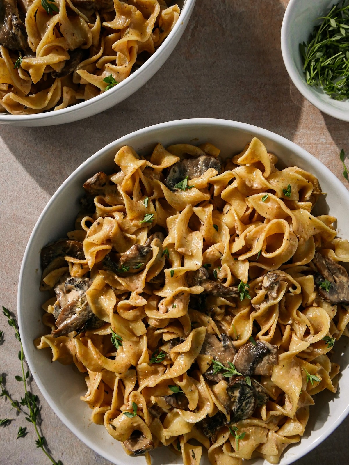 easy-mushroom-stroganoff.jpg Easy mushroom stroganoff on a plate.