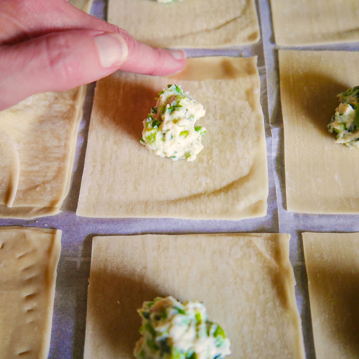 assembling-ravioli.jpg Assembling ravioli with wonton wrappers.