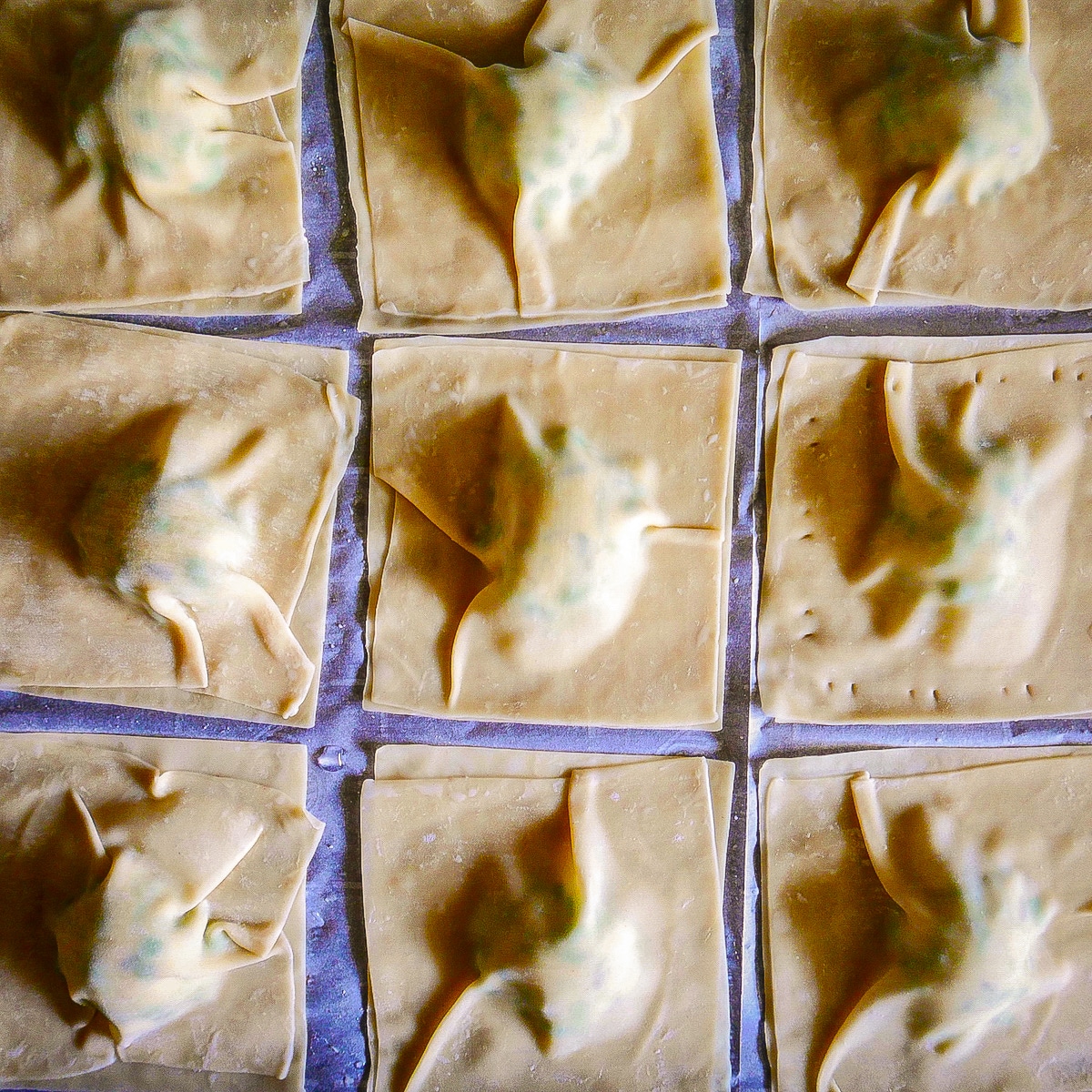 assembled-ravioli-on-a-baking-sheet.jpg assembled wonton ravioli on a baking sheet.