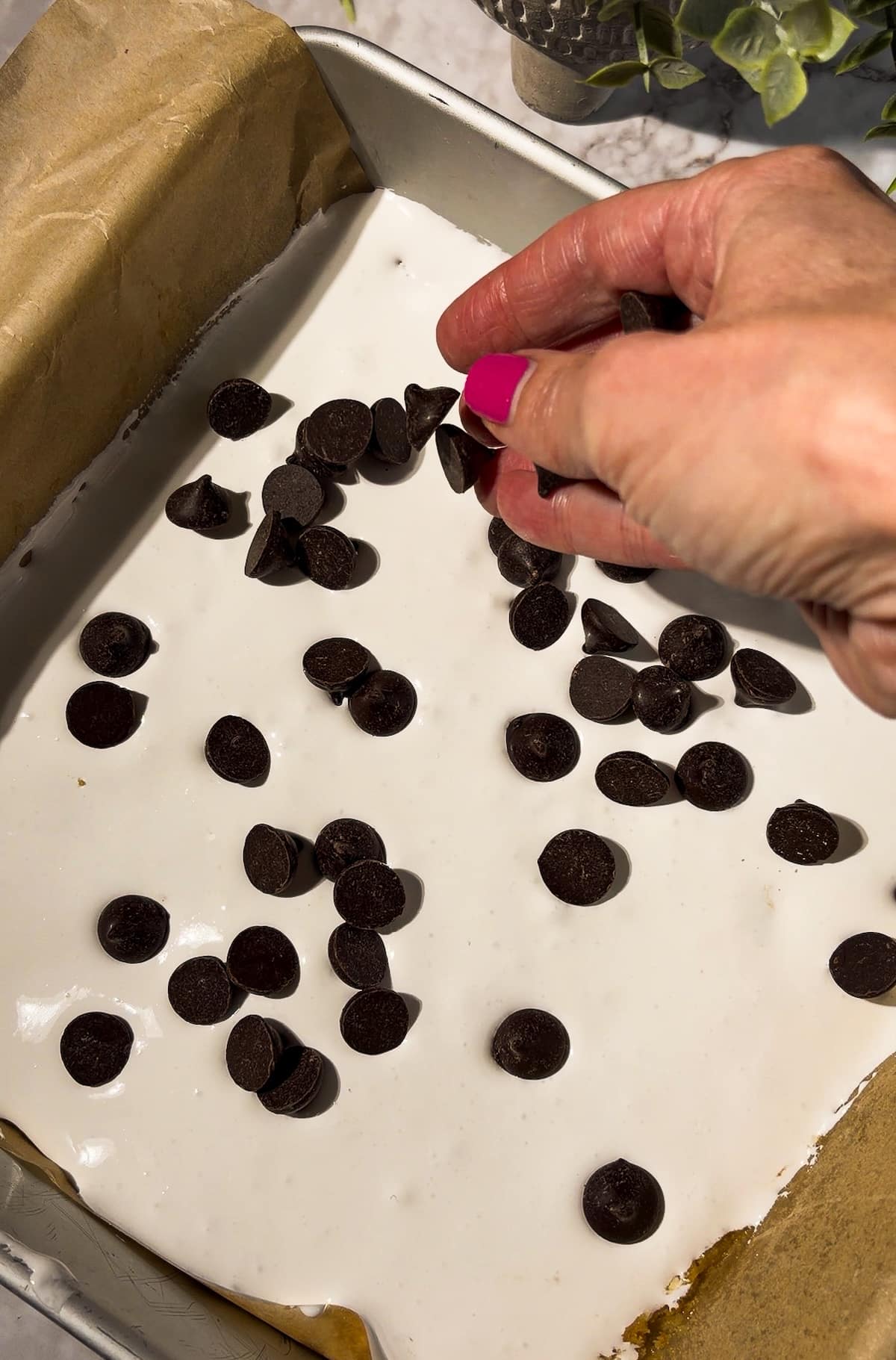 chocolate-chips-on-marshmallow-creme.jpg Sprinkling semi-sweet chocolate chips on top of marshmallow fluff.