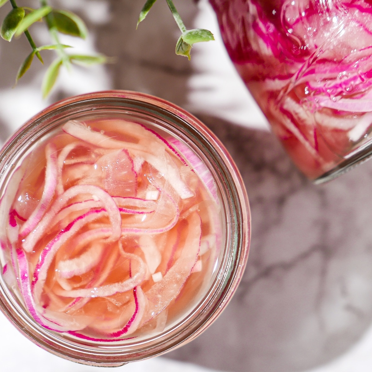 pickled-onions-in-a-jar.jpg Refrigerator pickled onions in a glass jar.