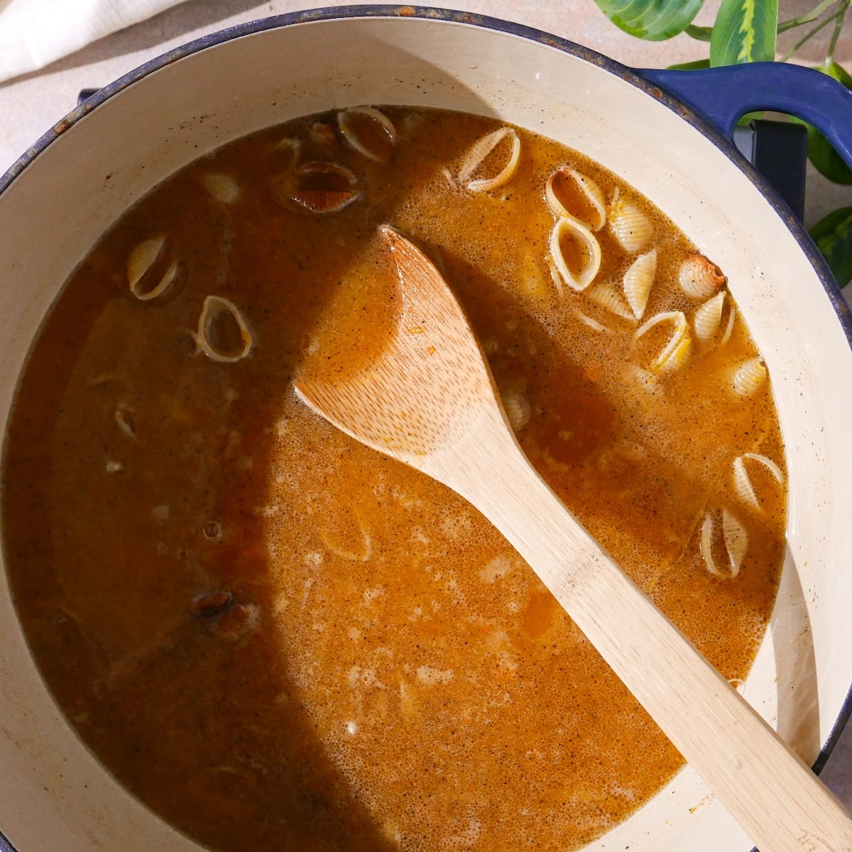 water-in-pasta.jpg Water added to pasta shells in pot.