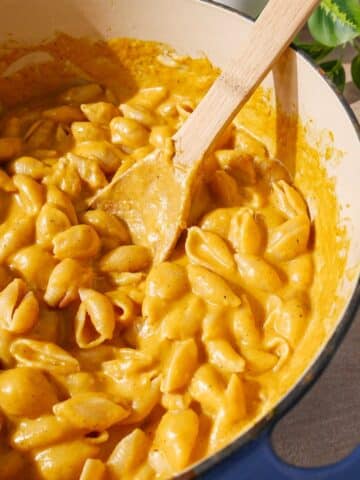 Creamy butternut squash macaroni and cheese made in one pot.