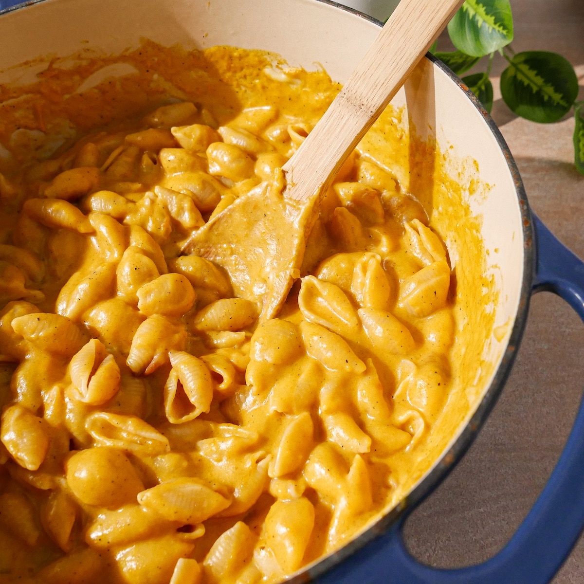 butternut-squash-mac-and-cheese.jpg Creamy butternut squash macaroni and cheese made in one pot.