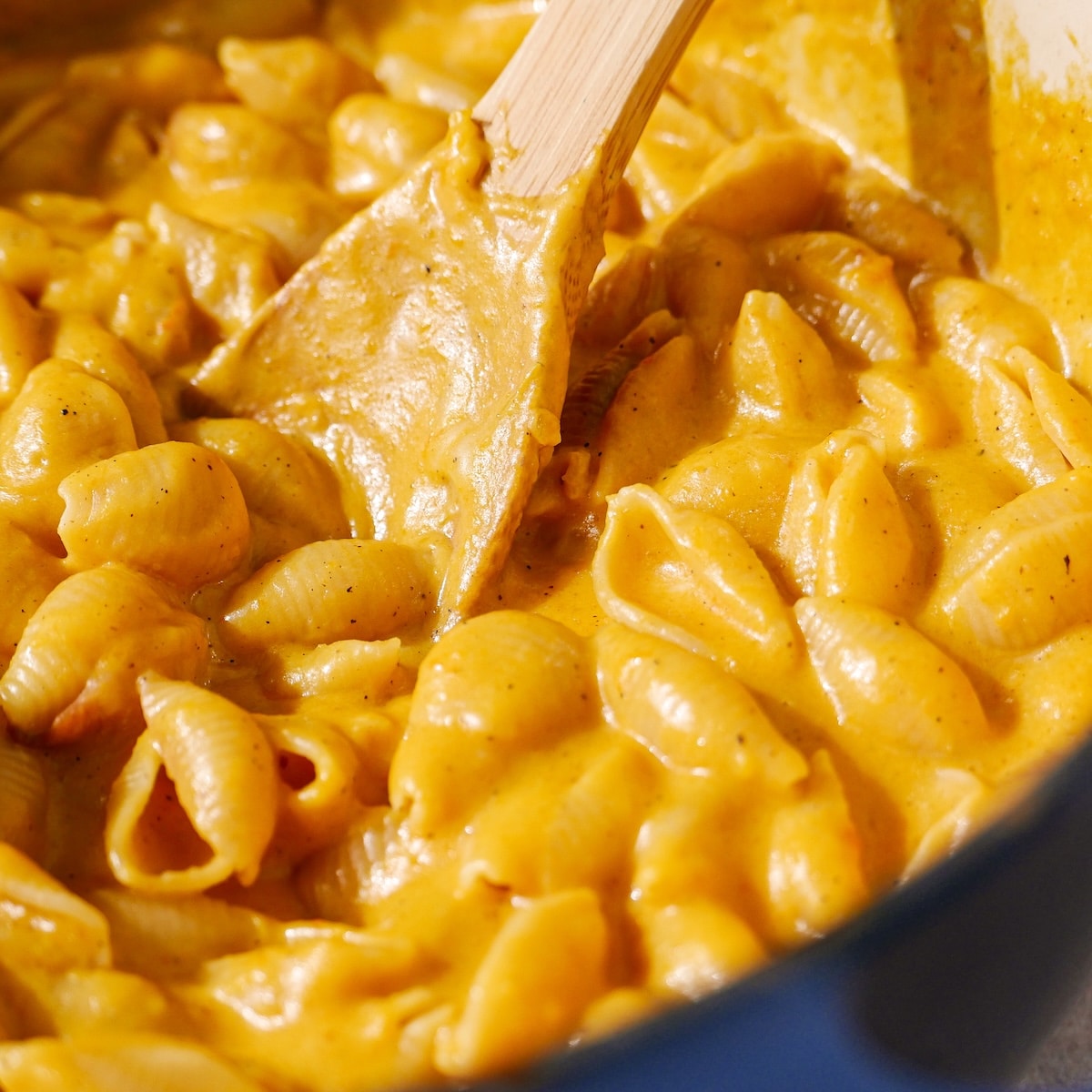mac-and-cheese-with-squash.jpg Mac and cheese with butternut squash.